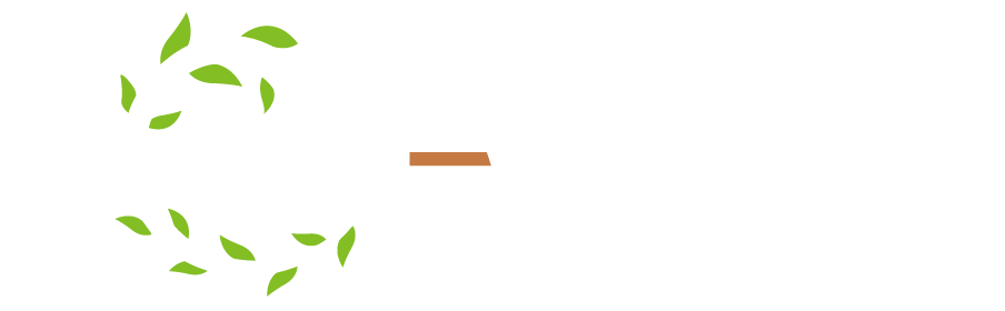 Hayat évolution